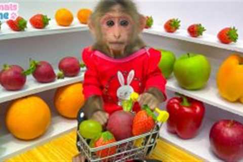 BiBi doing shopping in supermarket and eat fruit with duckling