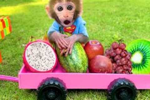 Monkey Baby Bon Bon and puppy drive a car to harvest fruit and play with duck on the farm