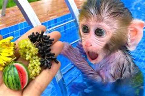 Monkey Baby Bon Bon plays in the pool with puppy and ducklings & eats fruit in the garden