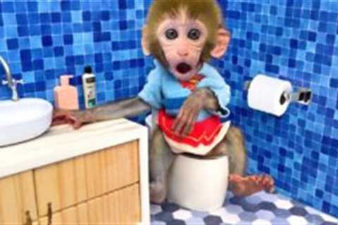 Monkey Baby Bon Bon buys toilet paper and plays with the puppy on the swing in the garden