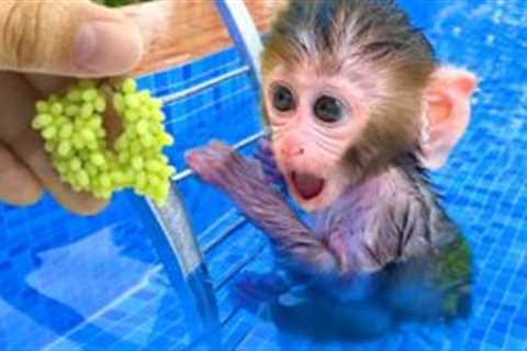 Monkey Baby Bon Bon dreams of puppy eating so yummy fruit and ducklings swimming in the pool