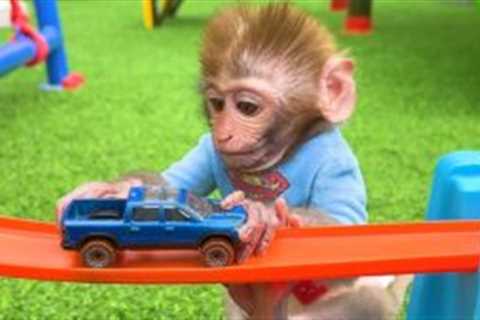 Monkey Baby Bon Bon takes the duckling to the farm and have fun with toy cars Hot Wheels