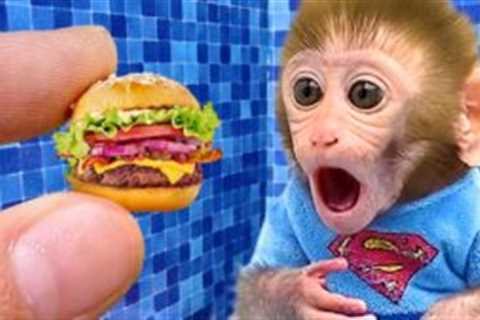 Monkey Baby Bon Bon eats chicken hamburger fast food and sleeps with puppy in his house