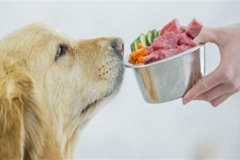 How long can raw food sit out for dog?