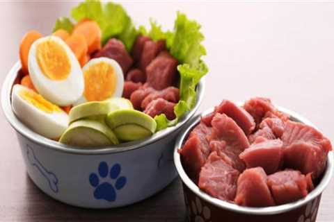 Why raw dog food is best?