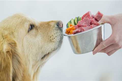 Why raw dog food?