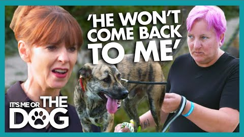Victoria Shocked By Dogs That Chase Runners On Walks | It's Me or The Dog