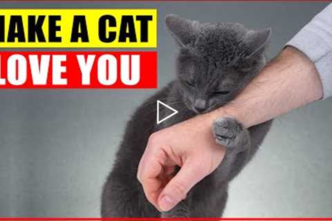 10 Scientific Ways to Get a Cat to Like You