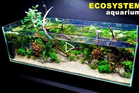 HOW TO: ECOSYSTEM AQUARIUM, NO WATER CHANGES | Full Step By Step Tutorial | MD FISH TANKS