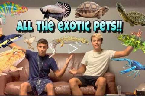 TOUR of ALL the EXOTIC PETS!!