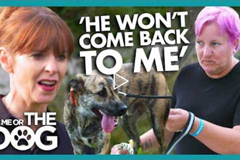 Victoria Shocked By Dogs That Chase Runners On Walks | It's Me or The Dog