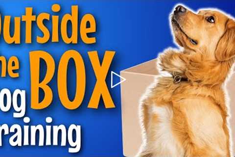 Dog Training Outside The Box: Transfer Of Value Case Study #177 #podcast