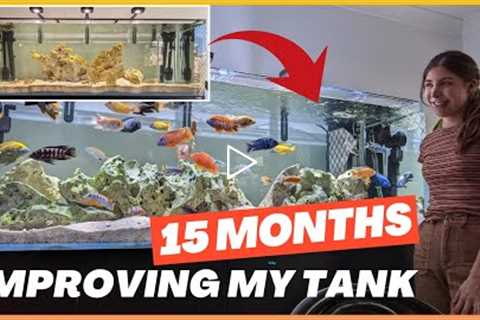 15 MONTHS Keeping African Cichlids: The 3 BIGGEST Improvements I Made to my Tank