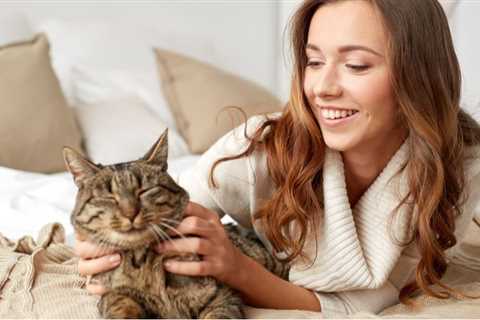 Note : 6 Simple Techniques For How Mother Cats Take Care of Kittens - PetPlace