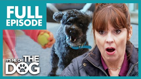 Dog LUNGES And BARKS At Baby Constantly | Full Episode | It's Me or the Dog