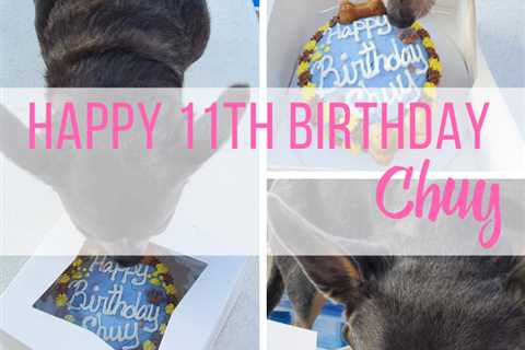 Chuy’s 11th Birthday