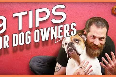 9 Power Tips for Living With a Dog - Foundations for All Dog Owners