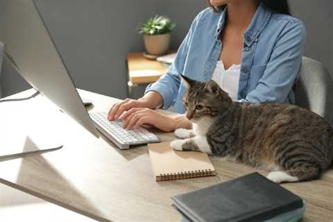 Can Cats in the Office Help Lower Employee Stress Levels? The Fascinating Answer!