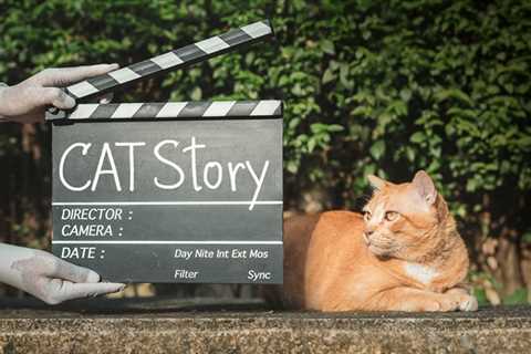Feline Actors: Our 20 Favorite Movies Starring Cats!