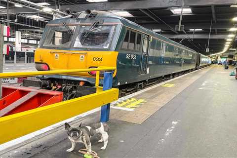 London To Scotland With Your Dog On The Caledonian Sleeper