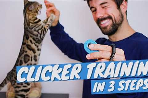 Clicker Training FOR CATS Tutorial - How to CLICKER TRAIN CAT in 3 steps