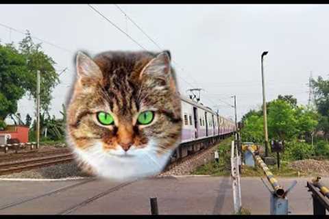 Angry CAT Face EMU Local Train : Dangerous & Furious Moving Throughout Railgate