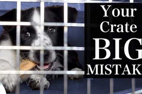 The BIGGEST Mistake People Make With Crate Training A Puppy