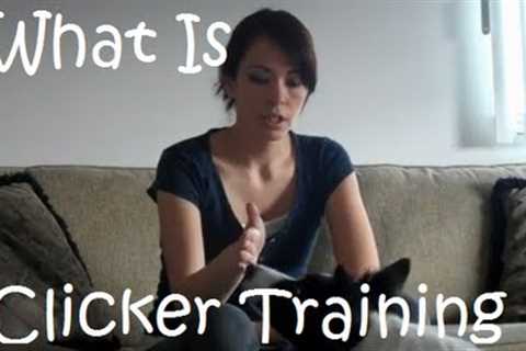 What is Clicker Training?