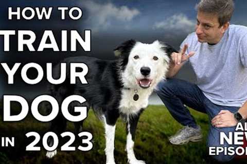 How To Get ANY Dog at Any Age to Listen To You Anywhere on Earth. No Force Required!