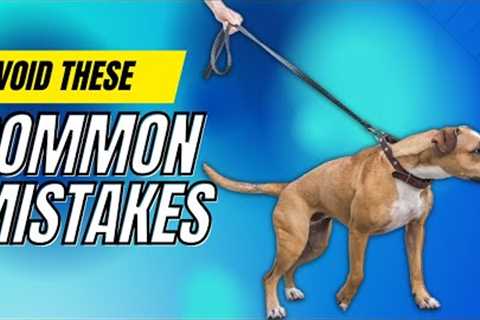 Why Your Dog PULLS ON LEASH & How to Fix It!