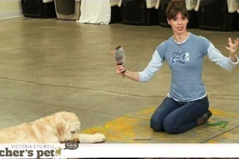 Teach a Dog to ''Take It'' and ''Drop It'' | Teacher''s Pet With Victoria Stilwell