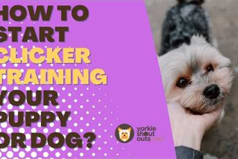 How to use a clicker for dog training?