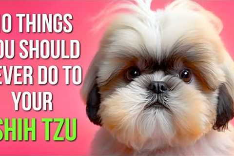 10 Mistakes Every Shih Tzu Owner SHOULD AVOID!