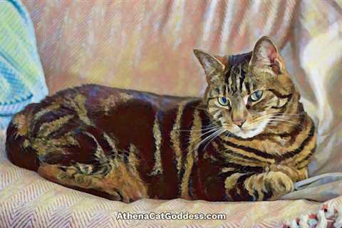 Elegant Lady Cat Caturday Art
