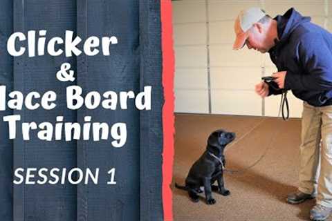 Clicker Training Your Dog and Using the Place Board - Session 1