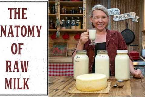 WHAT TO DO WITH RAW MILK ONCE IT''S IN YOUR KITCHEN?