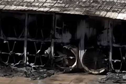 18,000 cows die in a Texas dairy farm explosion fire