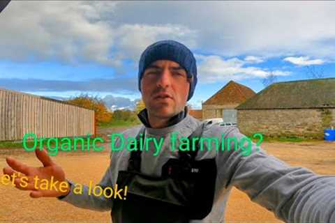 The Organic Dairy! Let''s take a look!
