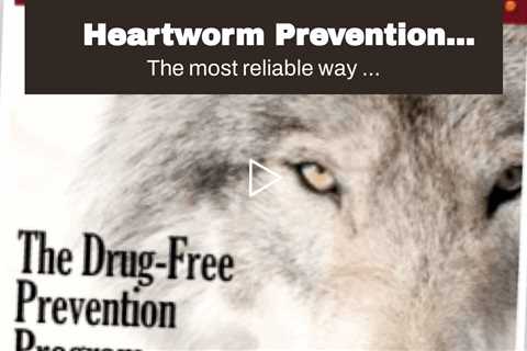 Heartworm Prevention Methods