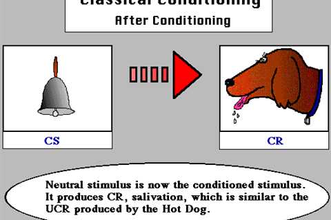 Desensitization and Counter Conditioning