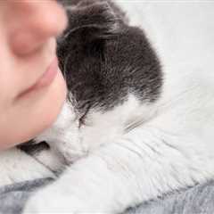 My Cat Loves Sleeping on My Face, Is That Normal? Facts & FAQ