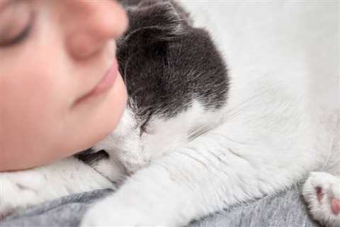 My Cat Loves Sleeping on My Face, Is That Normal? Facts & FAQ