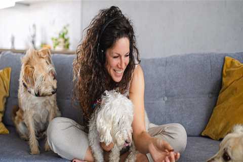 Finding the Perfect Pet Sitter in Nashville, TN