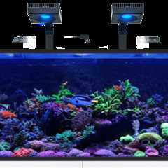 Red Sea Releases Reefer Max Series Aquariums