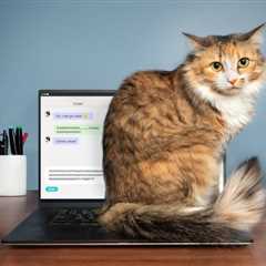 Why Does My Cat Sit on My Laptop? Common Reasons & Solutions