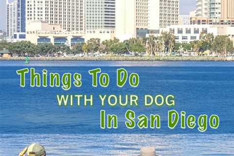 San Diego’s Top 10 Dog Friendly Activities