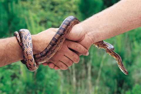 North Carolina Scientist Receives Prestigious US Fish and Wildlife Service Genius Prize for..