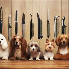 Top 10 Tips to Master Dog Specific Grooming Guides