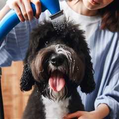 Essential Grooming Guide for Thick-Coated Dogs