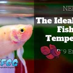 Ensuring the Right Water Temperature for Your Betta Fish: A Comprehensive Care Guide